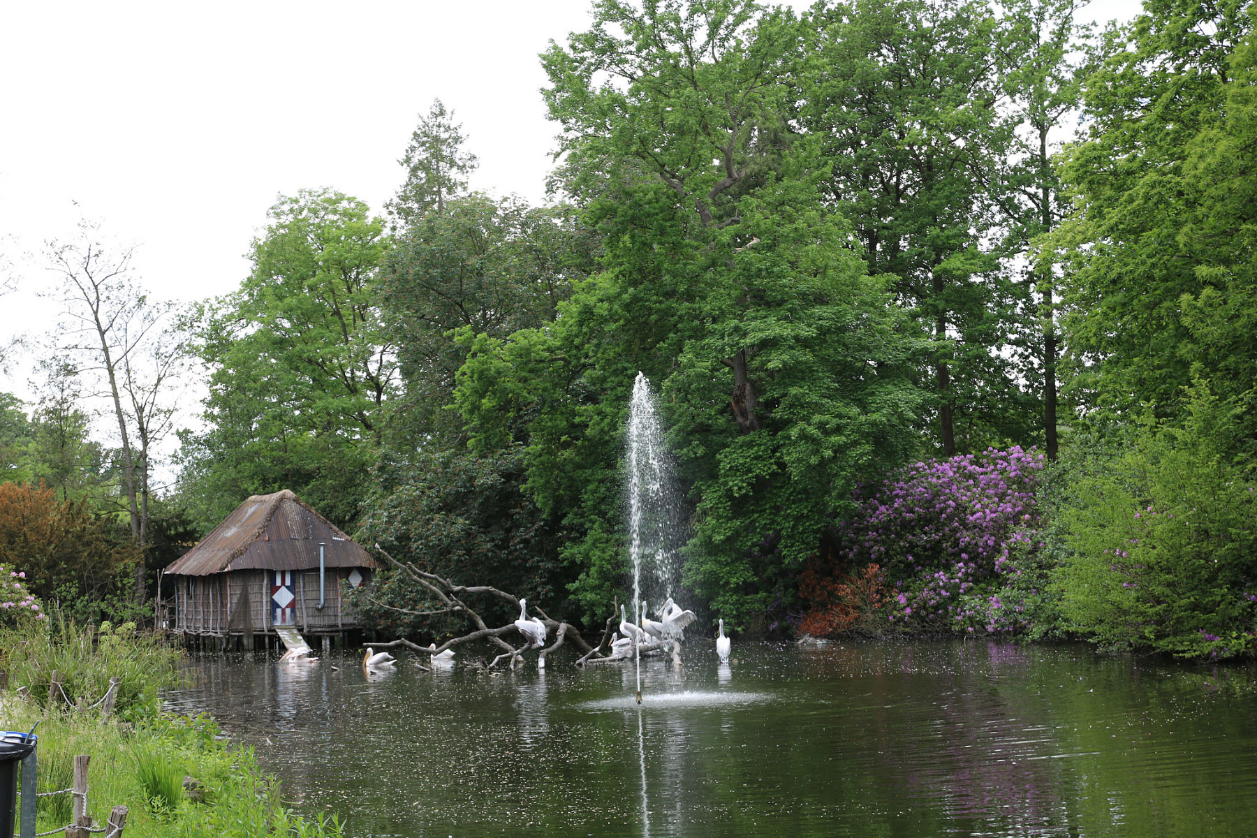 Dierenpark Planckendael